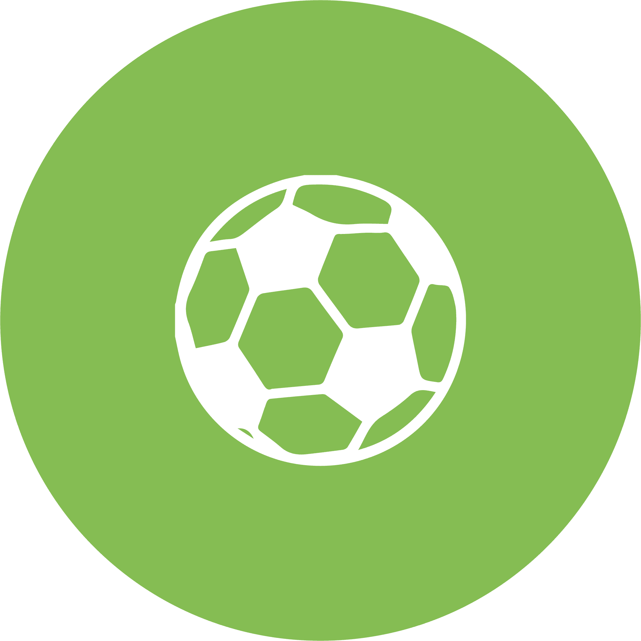 Soccer ball icon